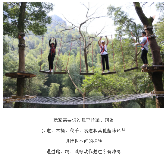 午夜熟女插插XX免费视频