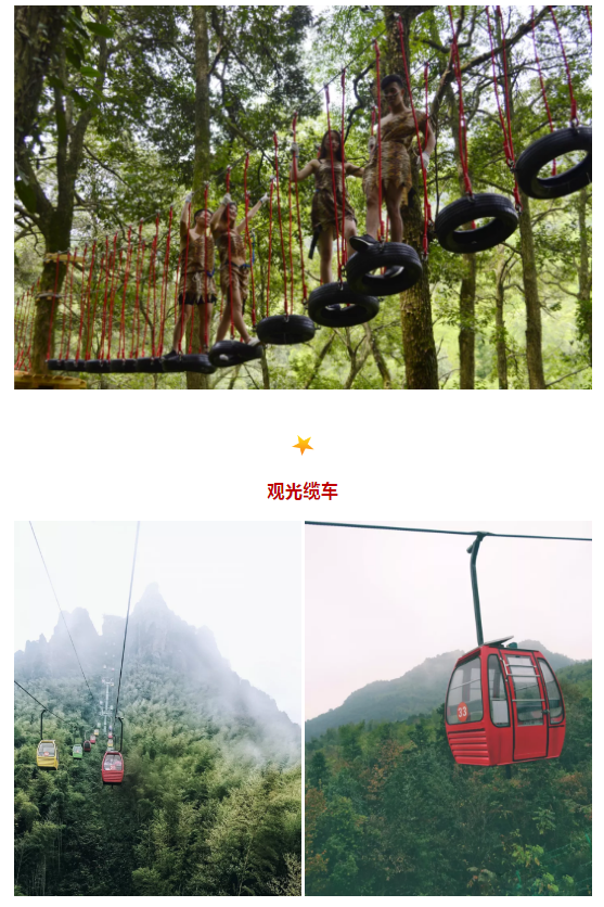 午夜熟女插插XX免费视频