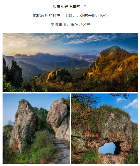 午夜熟女插插XX免费视频