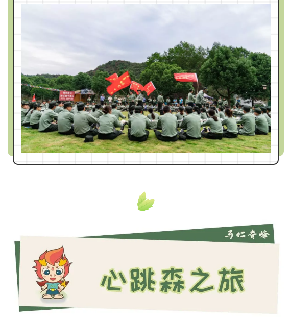 午夜熟女插插XX免费视频