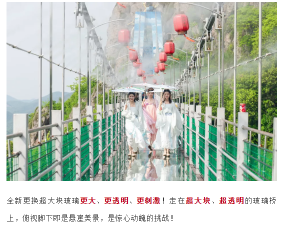 午夜熟女插插XX免费视频