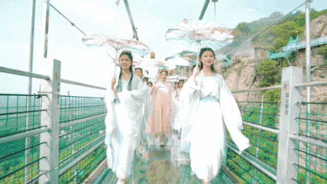 午夜熟女插插XX免费视频