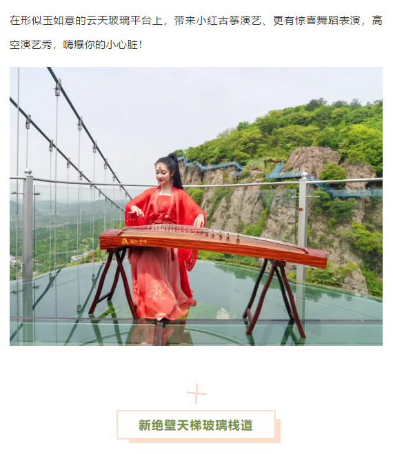 午夜熟女插插XX免费视频