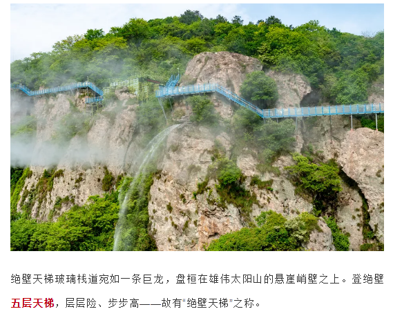 午夜熟女插插XX免费视频