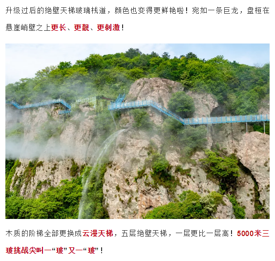 午夜熟女插插XX免费视频