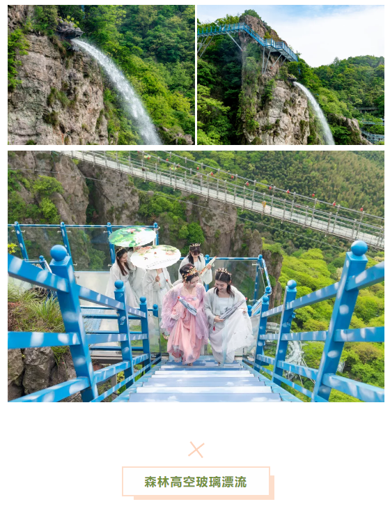 午夜熟女插插XX免费视频