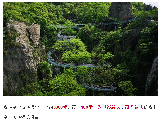 午夜熟女插插XX免费视频