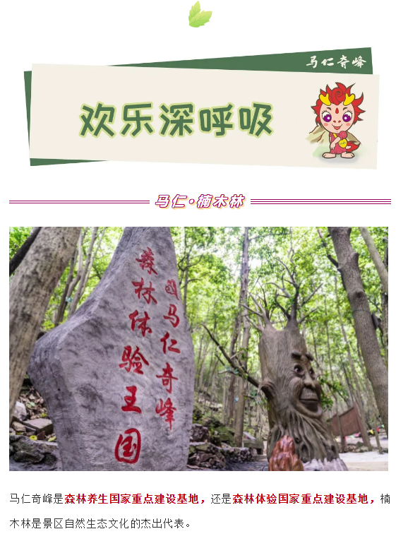 午夜熟女插插XX免费视频