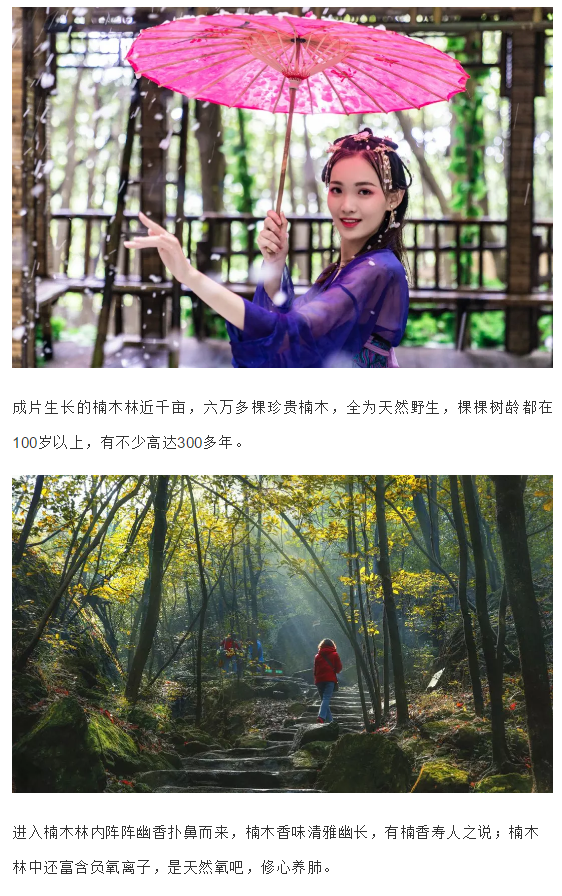 午夜熟女插插XX免费视频