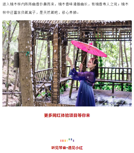 午夜熟女插插XX免费视频