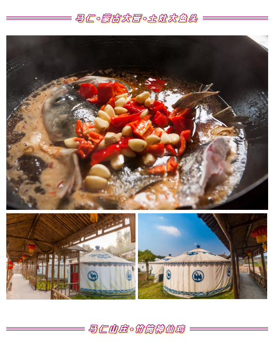 午夜熟女插插XX免费视频