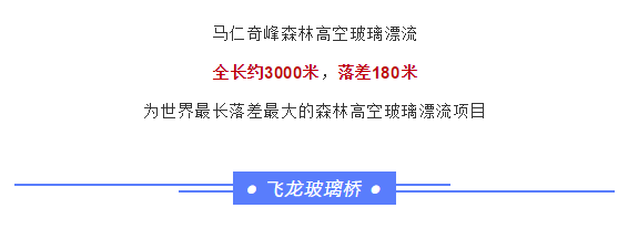 午夜熟女插插XX免费视频