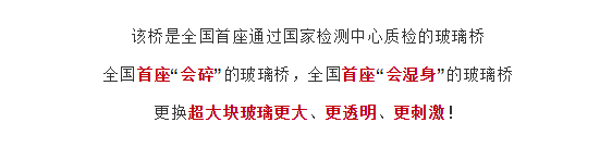 午夜熟女插插XX免费视频