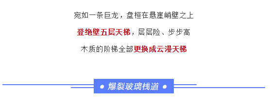 午夜熟女插插XX免费视频