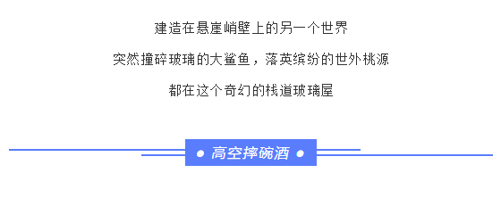 午夜熟女插插XX免费视频