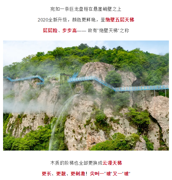 午夜熟女插插XX免费视频