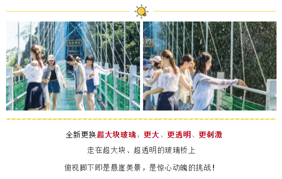 午夜熟女插插XX免费视频