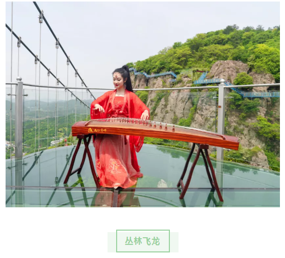 午夜熟女插插XX免费视频