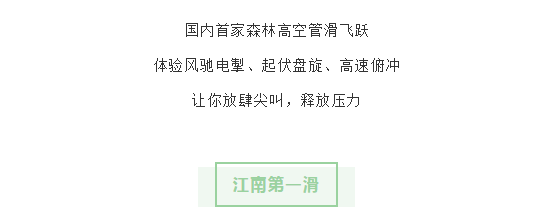 午夜熟女插插XX免费视频