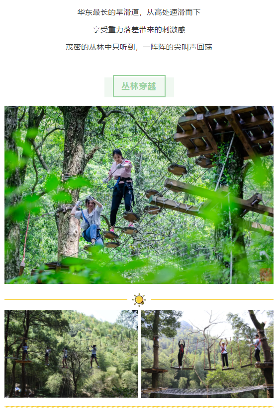 午夜熟女插插XX免费视频