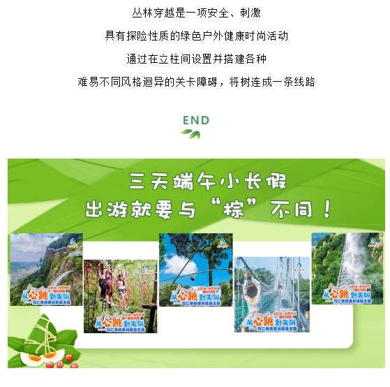 午夜熟女插插XX免费视频