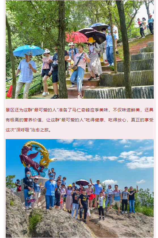 午夜熟女插插XX免费视频