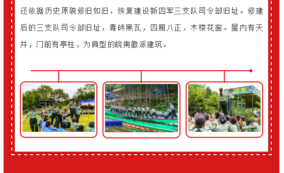 午夜熟女插插XX免费视频