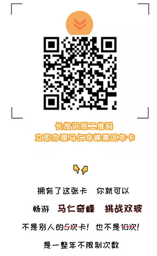 午夜熟女插插XX免费视频