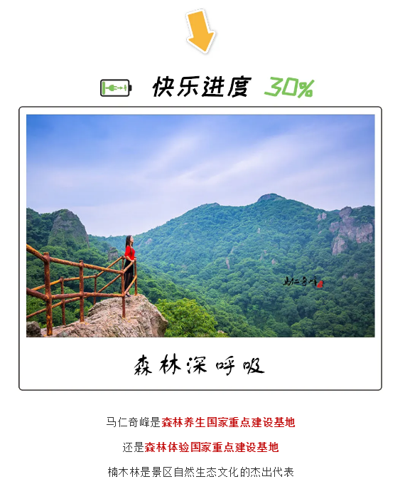 午夜熟女插插XX免费视频