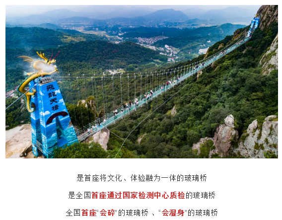 午夜熟女插插XX免费视频