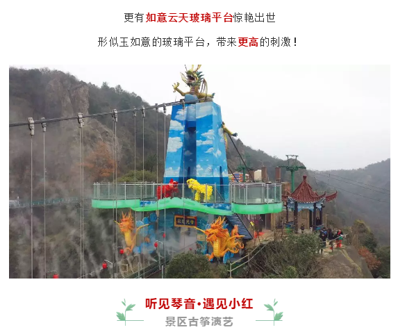 午夜熟女插插XX免费视频