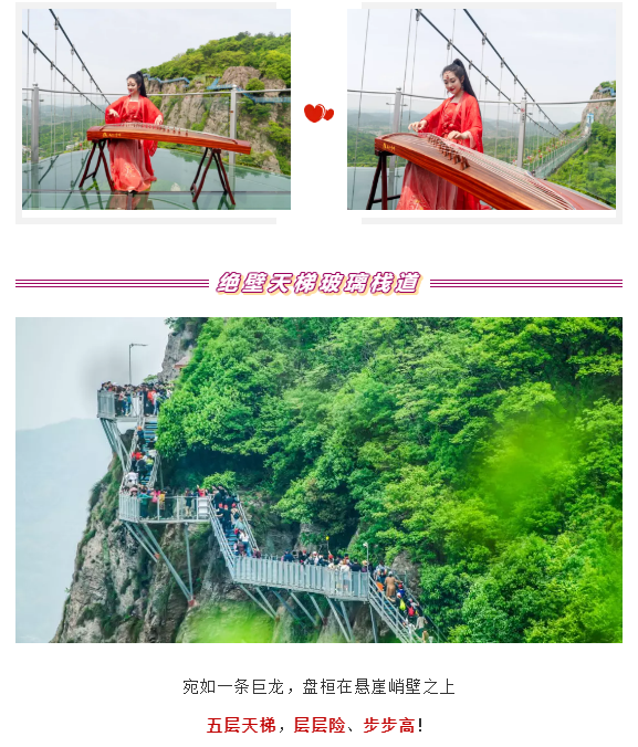 午夜熟女插插XX免费视频