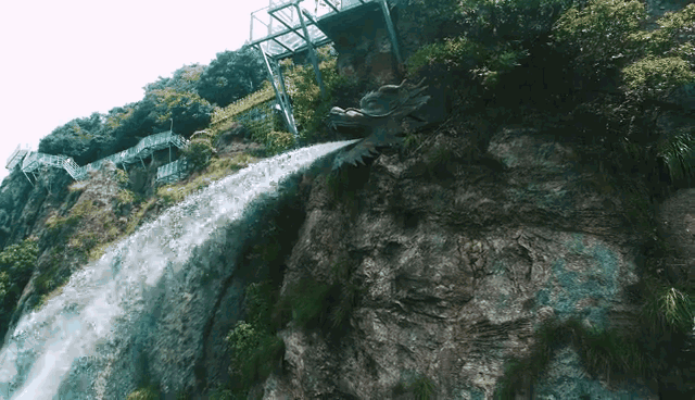 午夜熟女插插XX免费视频