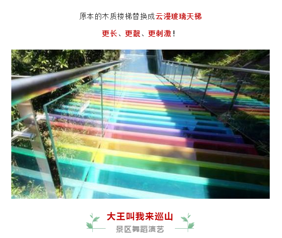 午夜熟女插插XX免费视频