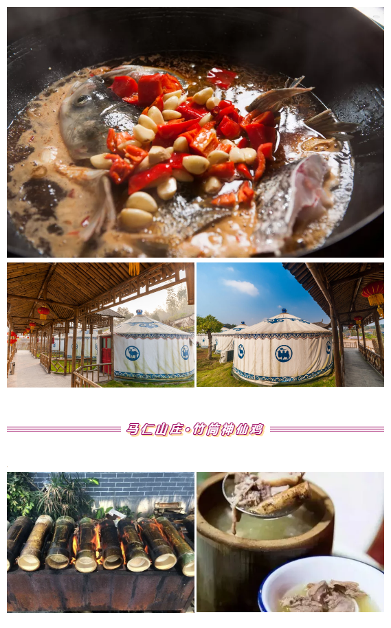 午夜熟女插插XX免费视频