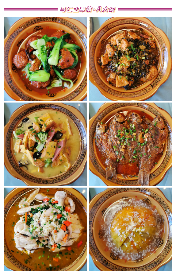 午夜熟女插插XX免费视频