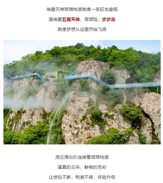 午夜熟女插插XX免费视频