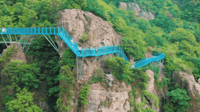 午夜熟女插插XX免费视频