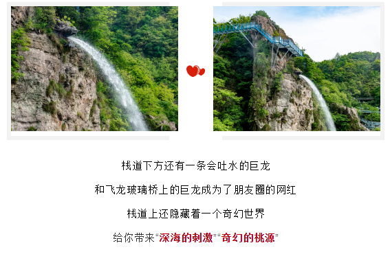 午夜熟女插插XX免费视频