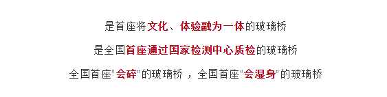 午夜熟女插插XX免费视频