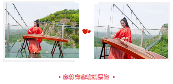 午夜熟女插插XX免费视频