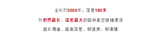 午夜熟女插插XX免费视频