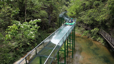 午夜熟女插插XX免费视频