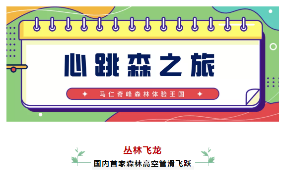 午夜熟女插插XX免费视频