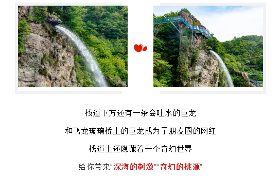 午夜熟女插插XX免费视频