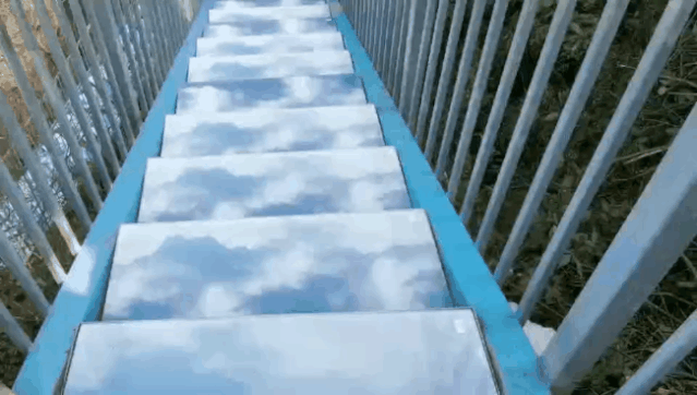 午夜熟女插插XX免费视频