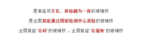 午夜熟女插插XX免费视频