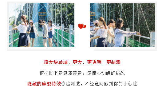 午夜熟女插插XX免费视频