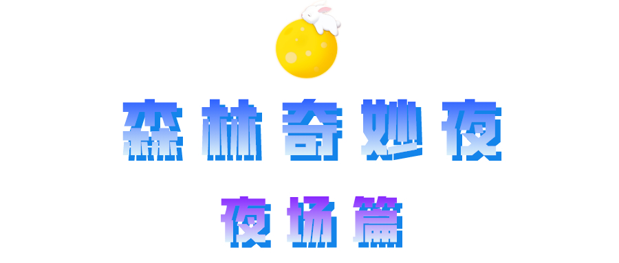 午夜熟女插插XX免费视频