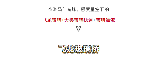 午夜熟女插插XX免费视频